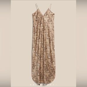Banana Republic Dreamer Silk Dress